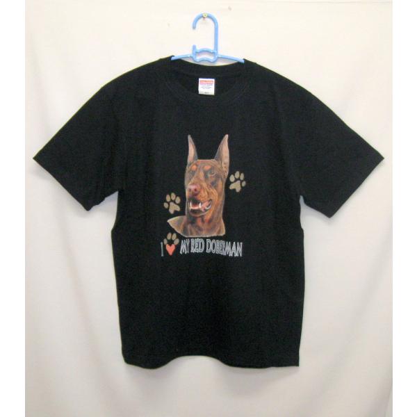 h[x}Ebh (n[g) tVc  Jbg\[ ێ^ N[lbN 100% Rbg gbvX  fB[X Y Vv 킢  