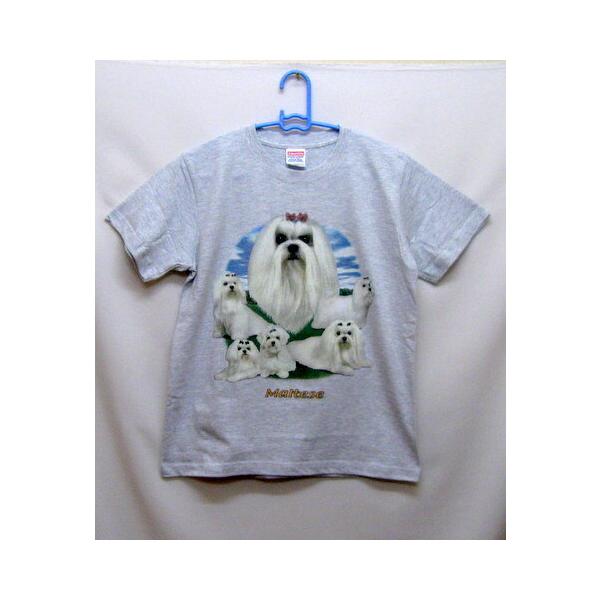 }`[Y (W) tVc  Jbg\[ ێ^ N[lbN 100% Rbg gbvX  fB[X Y Vv 킢  Cxg 