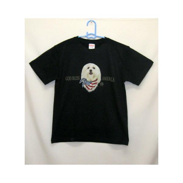 }`[Y (o_i) tVc  Jbg\[ ێ^ N[lbN 100% Rbg gbvX  fB[X Y Vv 킢  Cxg 