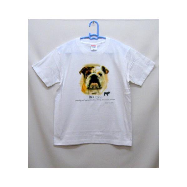 uhbO (NEW) tVc  Jbg\[ ێ^ N[lbN 100% Rbg gbvX  fB[X Y Vv 킢  Cxg 