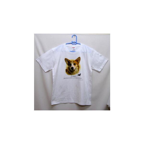 R[M[ (NEW) tVc  Jbg\[ ێ^ N[lbN 100% Rbg gbvX  fB[X Y Vv 킢  Cxg  