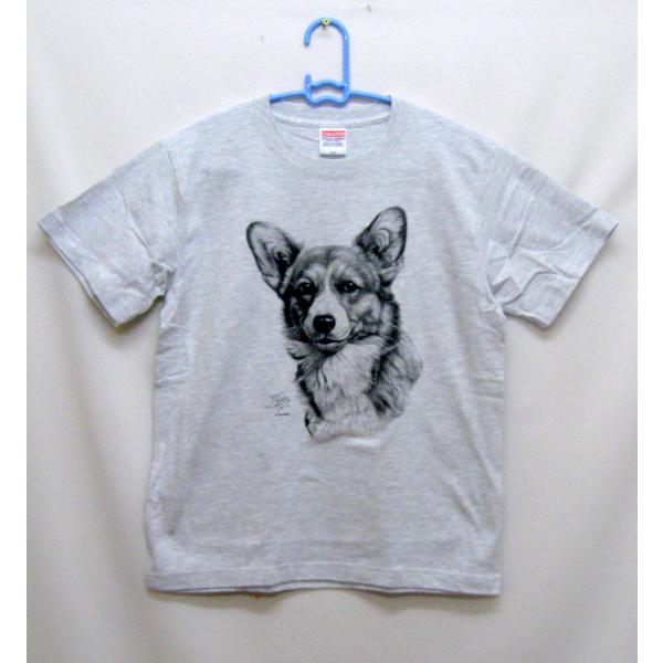 R[M[ (Gsc) tVc  Jbg\[ ێ^ N[lbN 100% Rbg gbvX  fB[X Y Vv 킢  Cxg 