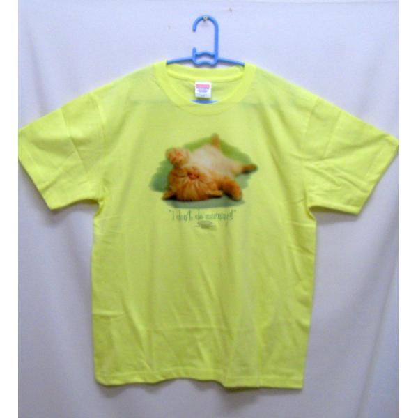 Lbg L ˂ lR I[i[YObY tVc  Jbg\[ ێ^ N[lbN 100% Rbg gbvX  fB[X Y Vv 킢