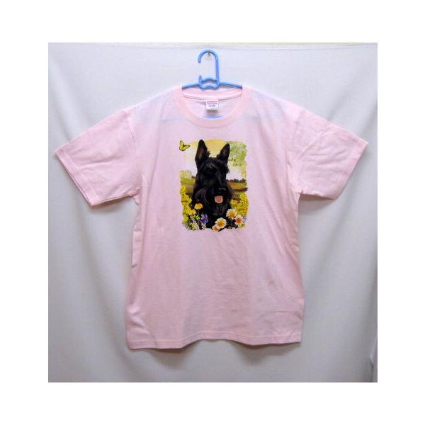 XRebVeA () tVc  Jbg\[ ێ^ N[lbN 100% Rbg gbvX  fB[X Y Vv 킢  