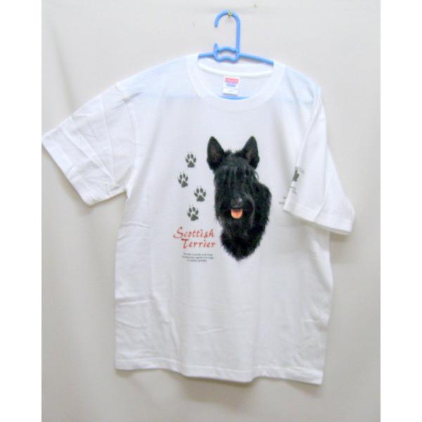 XRebVeA (H-70) tVc  Jbg\[ ێ^ N[lbN 100% Rbg gbvX  fB[X Y Vv 킢  