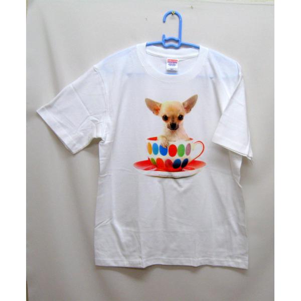 ` (eB[Jbv) tVc  Jbg\[ ێ^ N[lbN 100% Rbg gbvX  fB[X Y Vv 킢  Cxg 