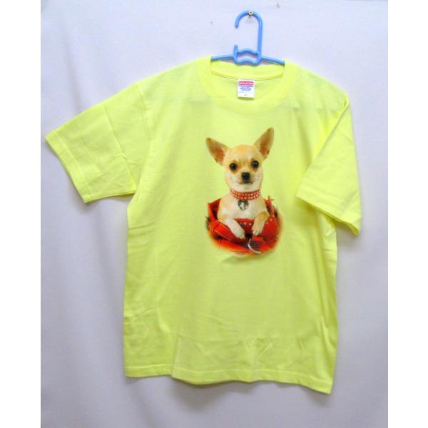 ` (CobO) tVc  Jbg\[ ێ^ N[lbN 100% Rbg gbvX  fB[X Y Vv 킢  Cxg 