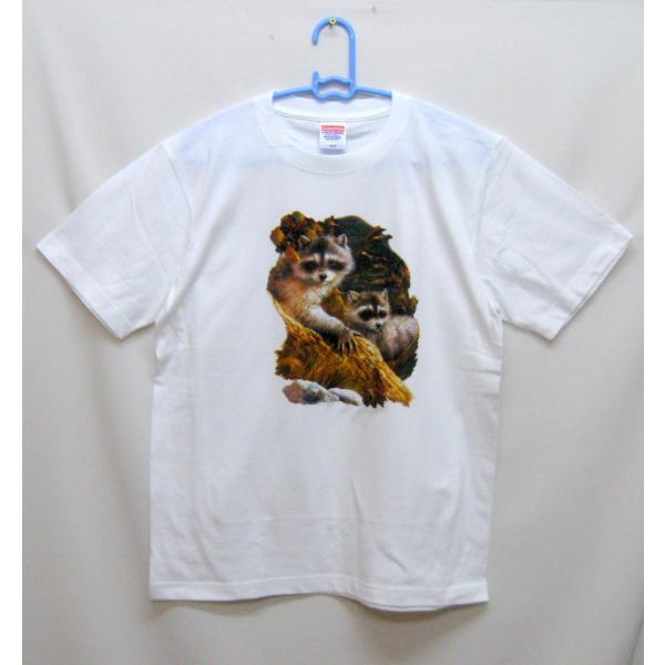 ACO} N[ 쐶 tVc  Jbg\[ ێ^ N[lbN 100% Rbg gbvX  fB[X Y Vv 킢  