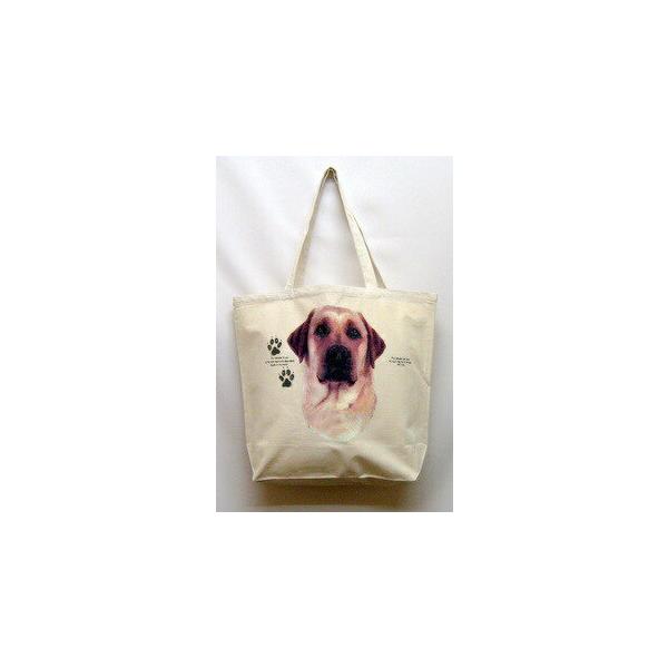 uh[g[o[ CG[u g[gobO GRobO }CobO킢  fB[X Y jp a4 傫 LoX hbO 