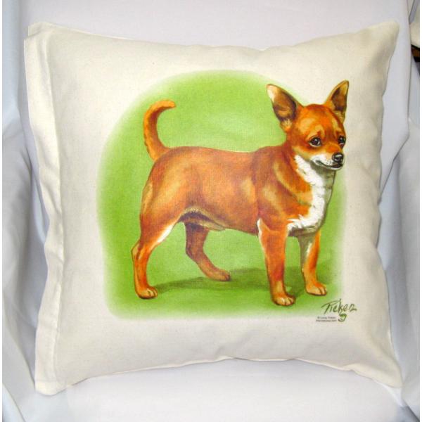 �݌Ɍ���I�`�����iA-572�j �N�b�V���� 45��45cm �􂦂� ���킢�� ������� ���� ���� ���v�����g �G�� ���O�b�Y ���v�����g ���� �L�O�i �I�t�� �I�[�i�[�O�b�Y