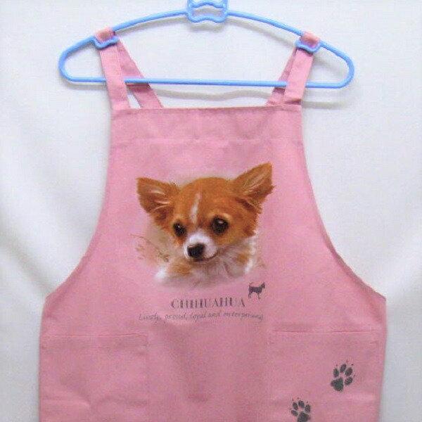 ` J[ GviNEWj obNNX X^ |  킢 ۈm [NGv   hbO  Ck  I[i[ObY