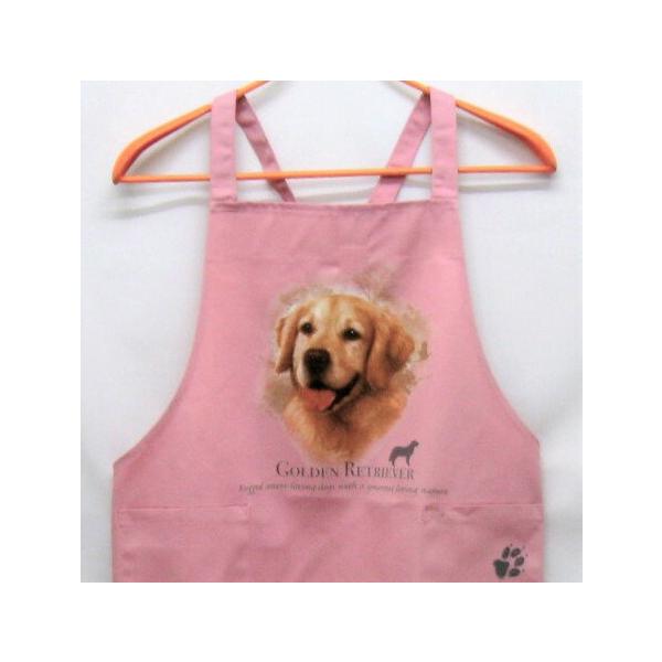 S[fg[o[ S[fgo[ J[ GviNEWj obNNX X^ |  킢 ۈm [NGv  