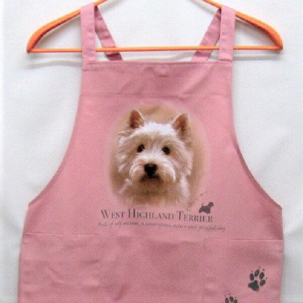 EGXeB[ EGXgnChzCgeA J[ GviNEWj obNNX X^ |  킢 ۈm [NGv  