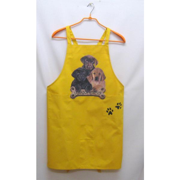 uh[g[o[ J[ GviBISj obNNX X^ |  킢 ۈm [NGv   hbO  Ck 