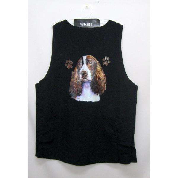 CObVEXvK[XpjGin[g)g~OGv iCbV[ e{^ H g}[ ۈm O| fB[X Y 