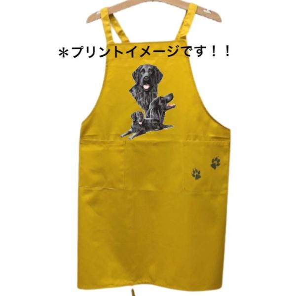 tbgR[ebhgo[ J[ Gv obNNX X^ |  킢 ۈm [NGv   hbO 