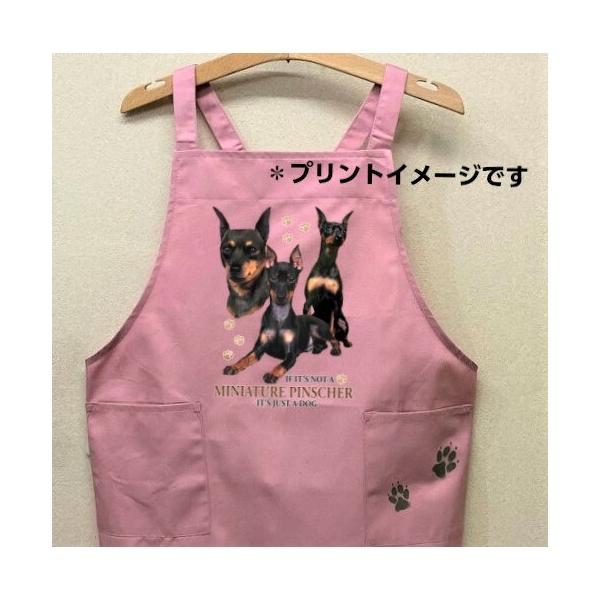 ~j`AsV[ J[ Gv obNNX X^ |  킢 ۈm [NGv   hbO  Ck  vg