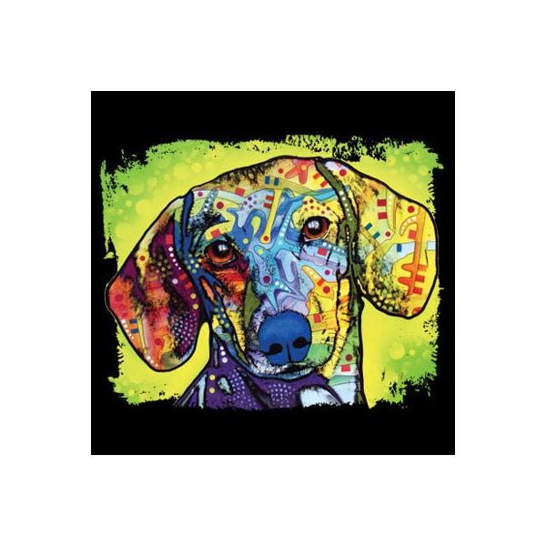 _bNXth̃XEFbgtWbvp[J[łB(lIQjhbO  vg I[i[YObY 킢 Mtg 