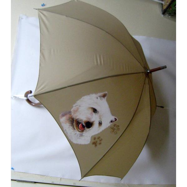 EGXgnChzCgeA EGXeB[ in[gj EGXeB[ObY P 65cm a110cm fB[X Y jp JP 킢  ~J