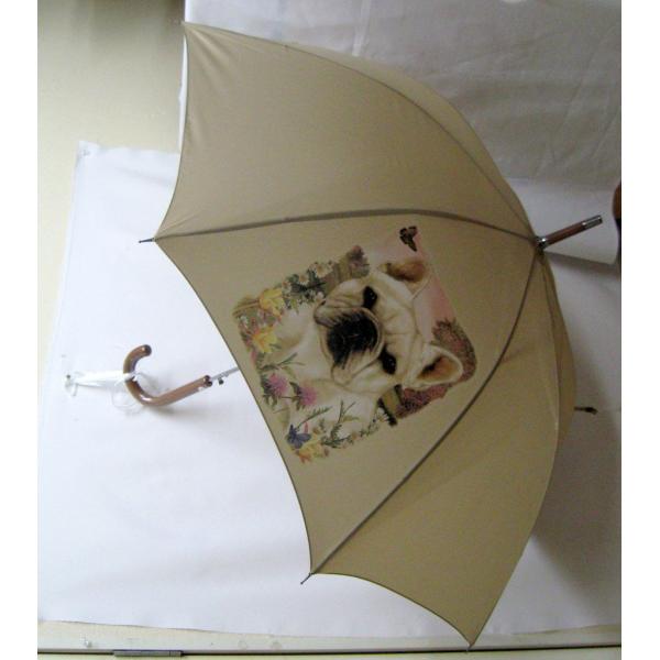 t`uhbOiԁj P 65cm a110cm fB[X Y jp JP 킢  ~J CObY UVJbg ɋ ϕ  