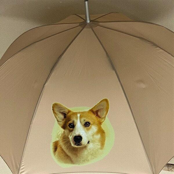 コーギー New 傘 65cm 直径110cm レディース メンズ 男女兼用 雨傘 かわいい おしゃれ 梅雨 レイングッズ Uvカット 風に強い 耐風 犬柄 いぬ 犬グッズ 犬と動物 トラストワンポイント 通販 Yahoo ショッピング