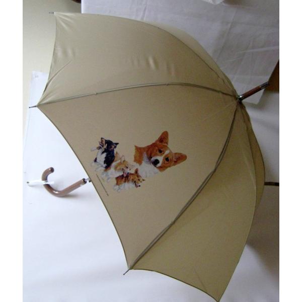 R[M[iB-1j P 65cm a110cm fB[X Y jp JP 킢  ~J CObY UVJbg ɋ ϕ   ObY