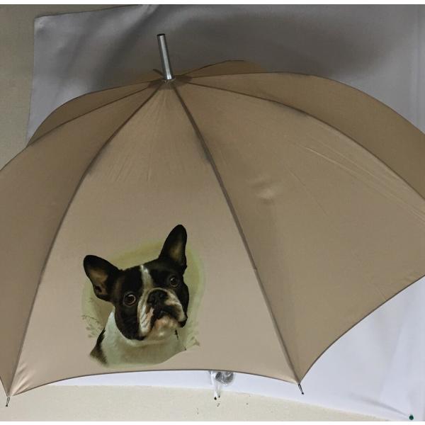 t`uhbO ^b`iNEWj P 65cm a110cm fB[X Y jp JP 킢  ~J CObY UVJbg ɋ ϕ 