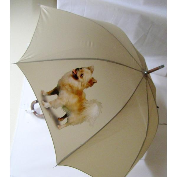 `iPj P 65cm a110cm fB[X Y jp JP 킢  ~J CObY UVJbg ɋ ϕ   ObY vg