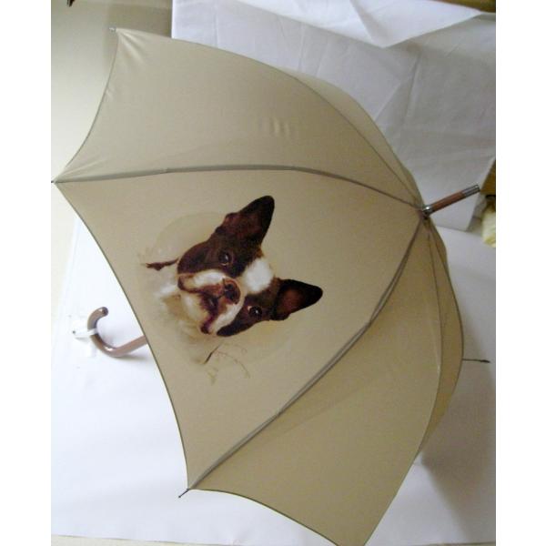 {XgeAiNEWj P 65cm a110cm fB[X Y jp JP 킢  ~J CObY UVJbg ɋ ϕ   ObY