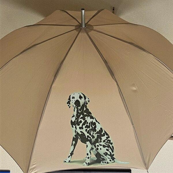 _VA ^b`iPj P 65cm a110cm fB[X Y jp JP 킢  ~J CObY UVJbg ɋ ϕ  