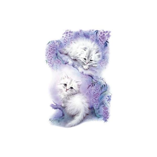 Lbgi85-LjL P 65cm a110cm fB[X Y jp JP 킢  ~J CObY UVJbg ɋ ϕ