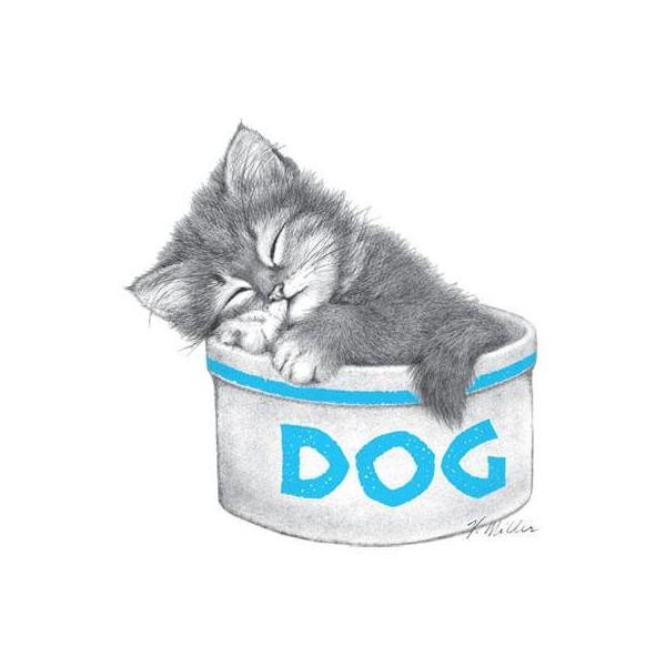 Lbgi76-LjL P 65cm a110cm fB[X Y jp JP 킢  ~J CObY UVJbg ɋ ϕ