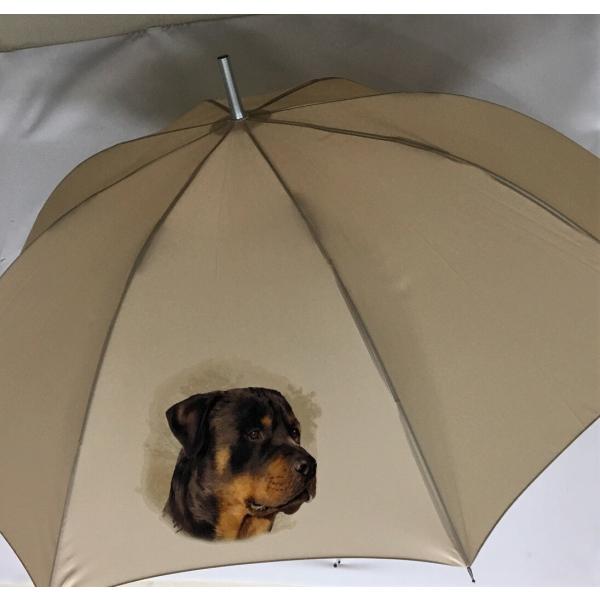 bgC[iNEWj P 65cm a110cm fB[X Y jp JP 킢  ~J CObY UVJbg ɋ ϕ   ObY