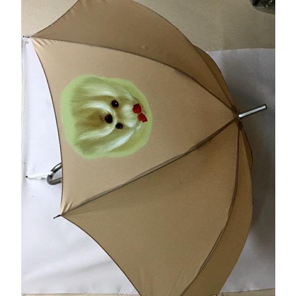 }`[YiNEWj P 65cm a110cm fB[X Y jp JP 킢  ~J CObY UVJbg ɋ ϕ   ObY