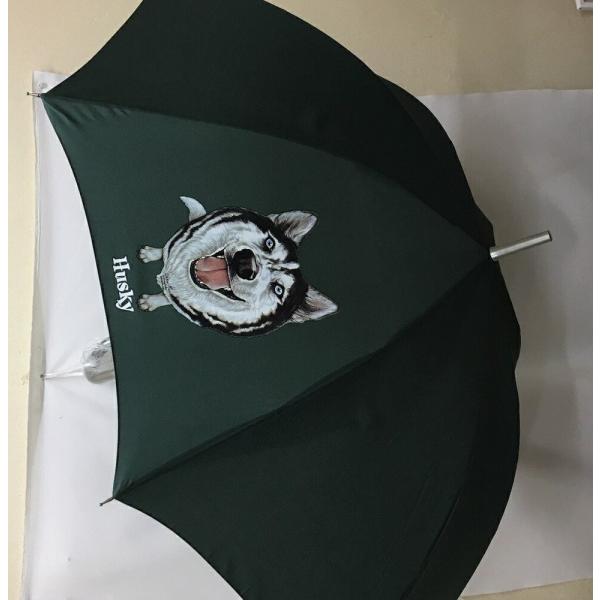 VxAnXL[iNo.8j P 65cm a110cm fB[X Y jp JP 킢  ~J CObY UVJbg ɋ ϕ  