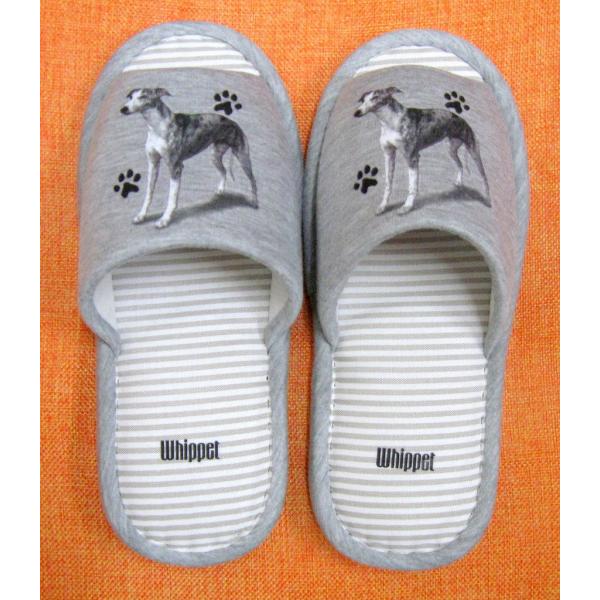 ECybgiP) Xbp 􂦂 jp O[ XgCv ې EHbVu [V[Y 킢  qp   V