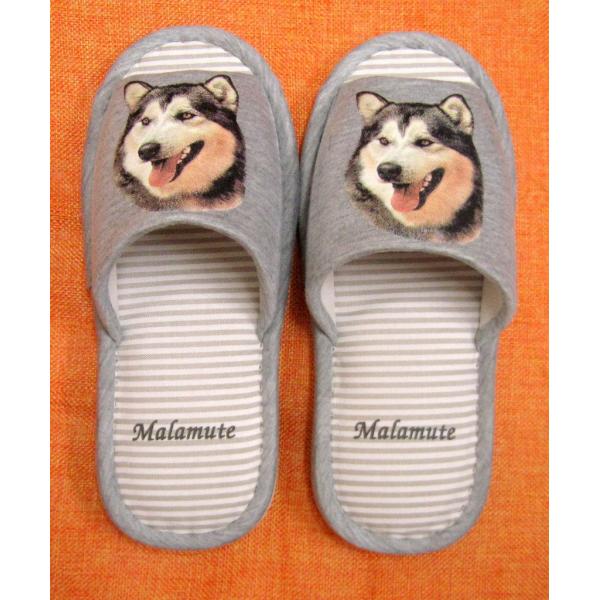 AXJE}~[giH) Xbp 􂦂 jp O[ XgCv ې EHbVu [V[Y 킢  qp  V