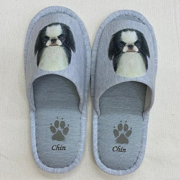 Wpj[Y` `  iH) Xbp 􂦂 jp O[ XgCv ې EHbVu [V[Y 킢  qp  V