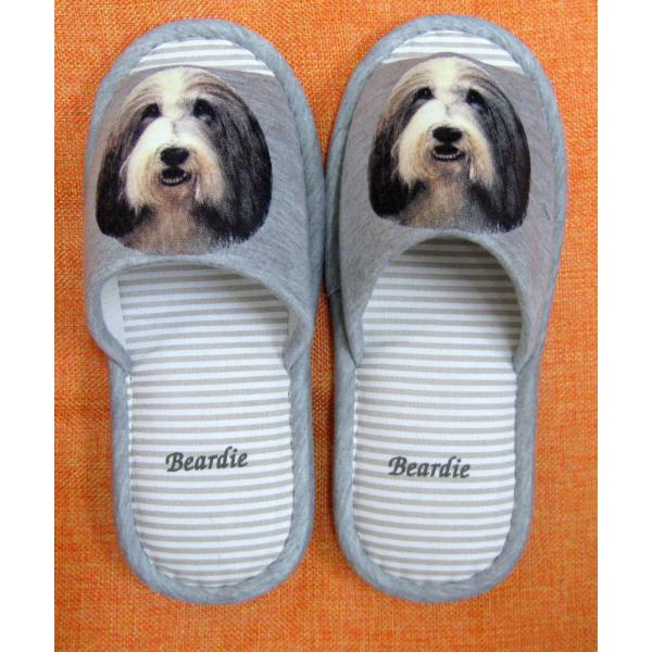 xAfbhER[iH) Xbp 􂦂 jp O[ XgCv ې EHbVu [V[Y 킢  qp  