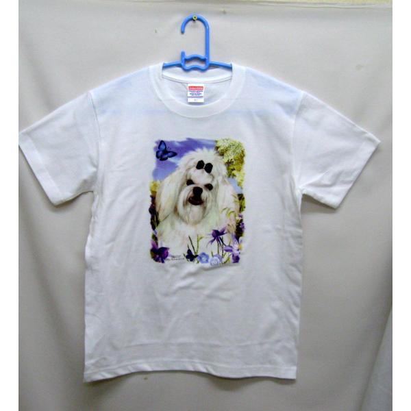 }`[Y () tVc  Jbg\[ ێ^ N[lbN 100% Rbg gbvX  fB[X Y Vv 킢  Cxg 