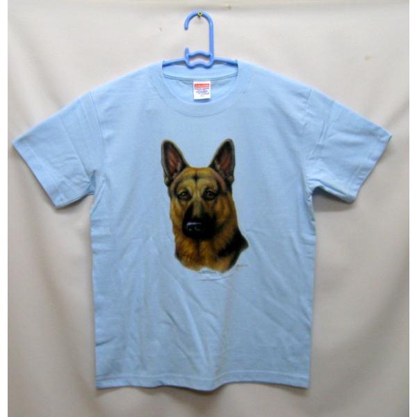 W[}VFp[h (No5) tVc  Jbg\[ ێ^ N[lbN 100% Rbg gbvX  fB[X Y Vv 킢  