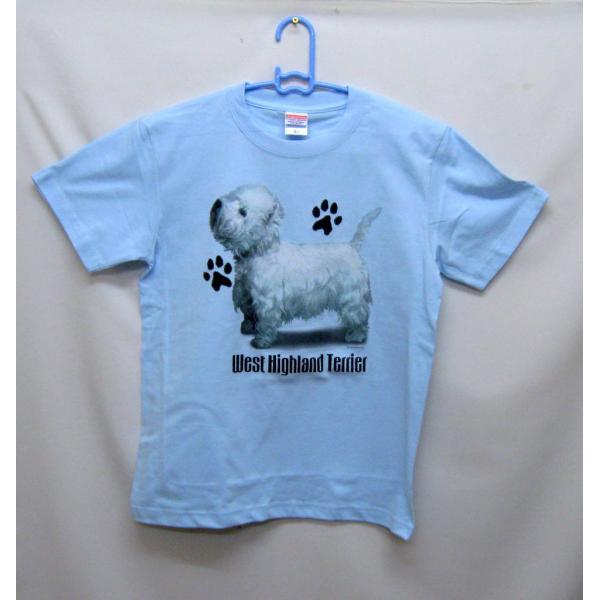 EGXeB[ (P-50) EGXgnChzCgeA tVc  Jbg\[ ێ^ N[lbN 100% Rbg gbvX  fB[X Y 