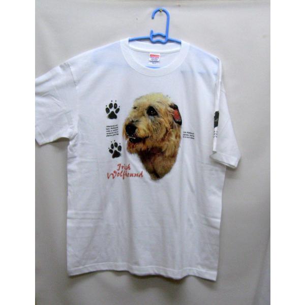 ACbVEtnEh (H) tVc  Jbg\[ ێ^ N[lbN 100% Rbg gbvX  fB[X Y Vv 킢  