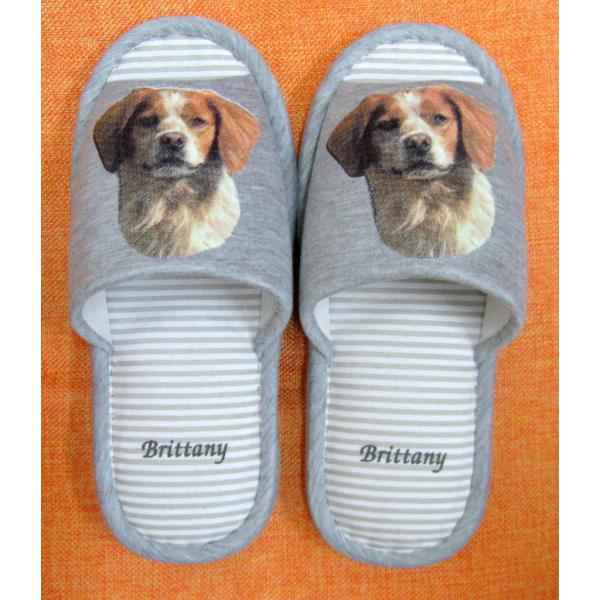 u^j[iH) Xbp 􂦂 jp O[ XgCv ې EHbVu [V[Y 킢  qp   V