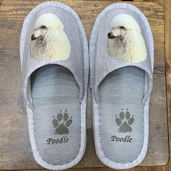 v[hv[h zCgv[h Xbp 􂦂 jp O[ XgCv ې EHbVu [V[Y 킢  qp 