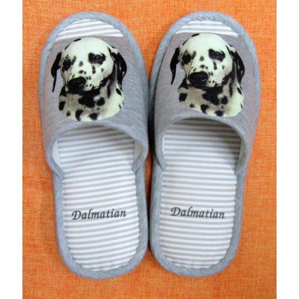 _VAiH) Xbp 􂦂 jp O[ XgCv ې EHbVu [V[Y 킢  qp   V