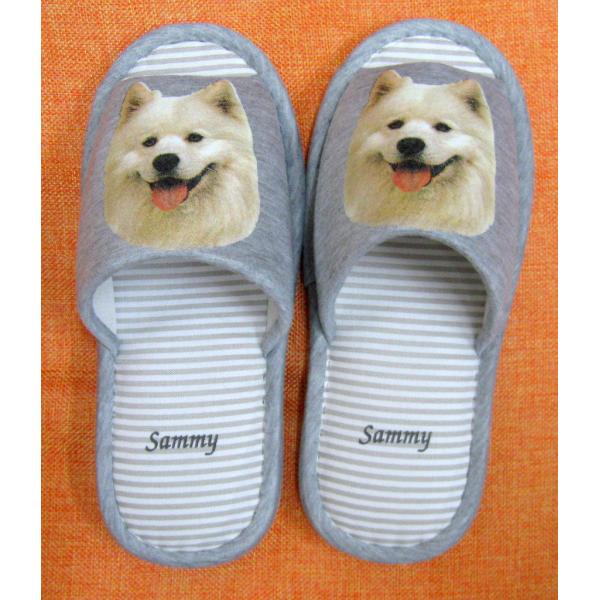 TGhiH) Xbp 􂦂 jp O[ XgCv ې EHbVu [V[Y 킢  qp   V It