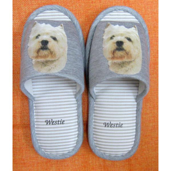 EGXgnChzCgeAiH) EGXeB[ Xbp 􂦂 jp O[ XgCv ې EHbVu [V[Y 킢 