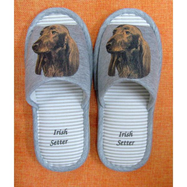 ACbVEZ^[iH) Xbp 􂦂 jp O[ XgCv ې EHbVu [V[Y 킢  qp  