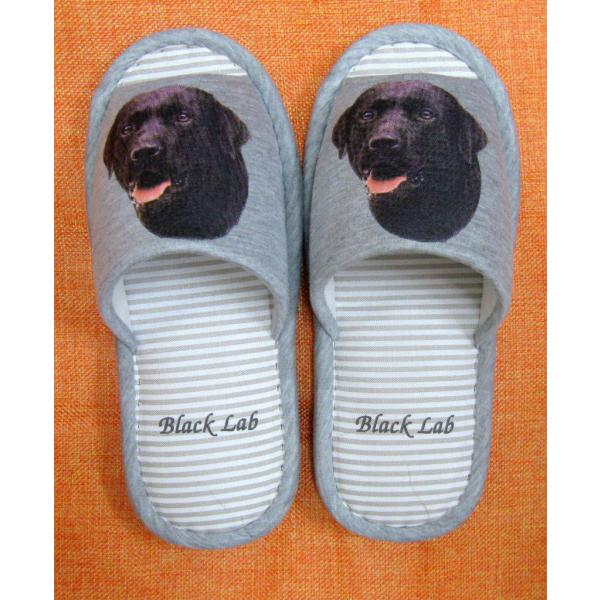 uh[g[oiubNjiH) Xbp 􂦂 jp O[ XgCv ې EHbVu [V[Y 킢  qp V